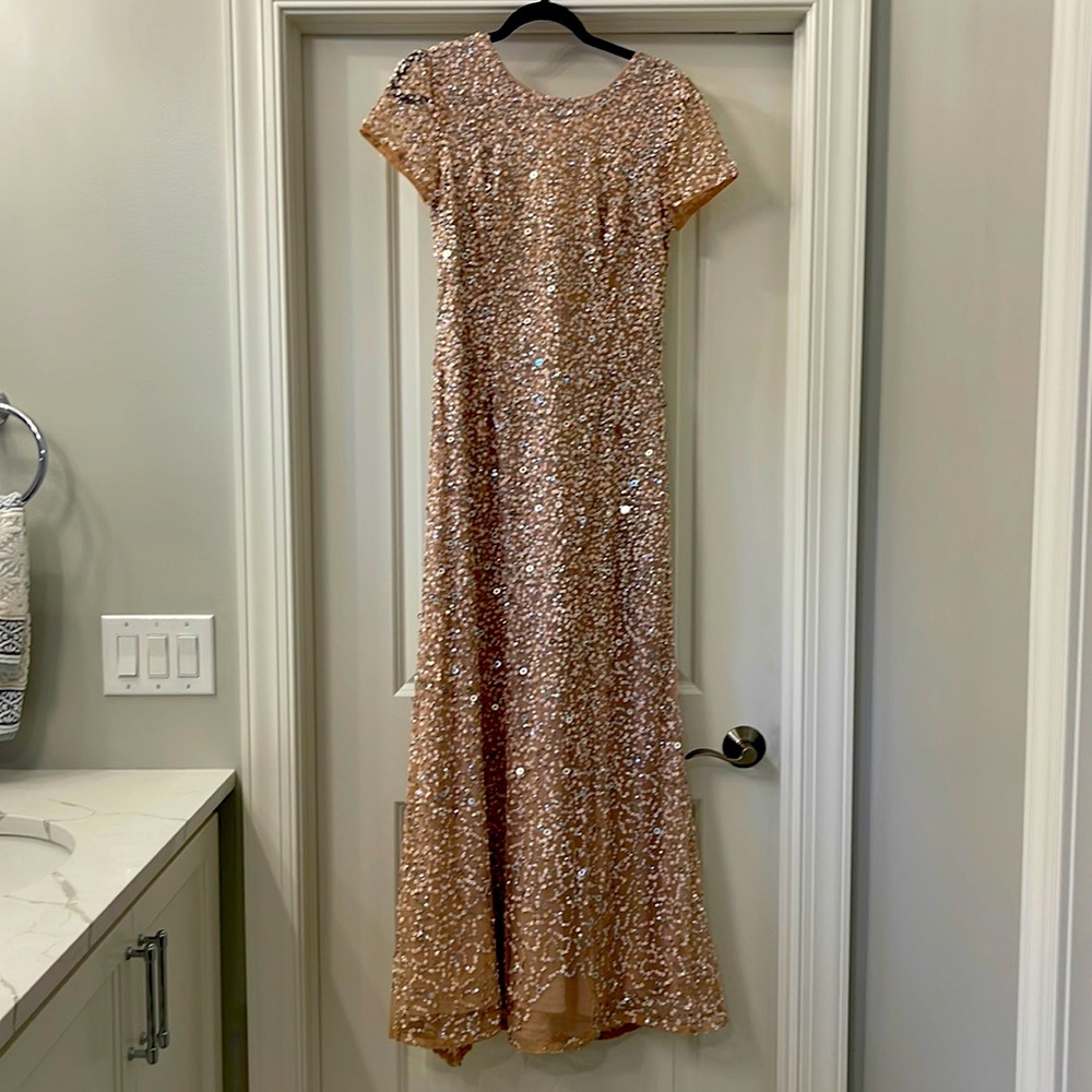Adrianna Papell long mesh sequin dress. Peach.Size 10